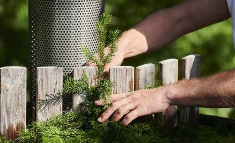 Jak zrobić ogrodzenie z drewna – kreatywny pomysł do ogrodu